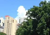caminhadas guiadas pelo centro de São Paulo