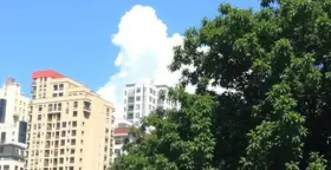 caminhadas guiadas pelo centro de São Paulo