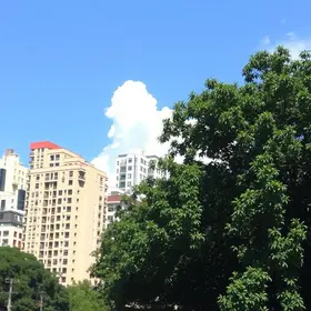 caminhadas guiadas pelo centro de São Paulo