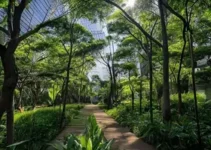 Centro de São Paulo ganha nova área verde