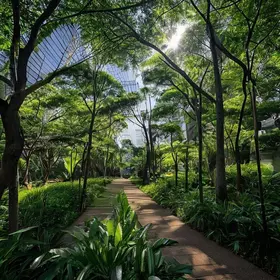 Centro de São Paulo ganha nova área verde