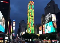 Boulevard São João