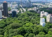 Centro de São Paulo ganha quatro novos Bosques Urbanos