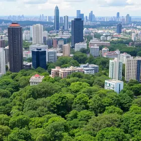 Centro de São Paulo ganha quatro novos Bosques Urbanos
