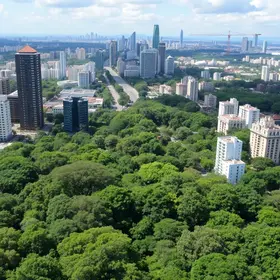 Centro de São Paulo ganha quatro novos Bosques Urbanos