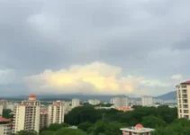 clima ao vivo