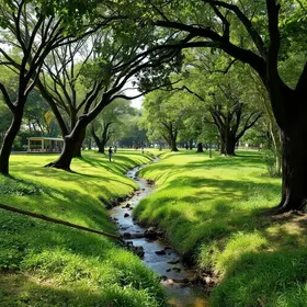 Concurso do Parque Municipal do Bixiga