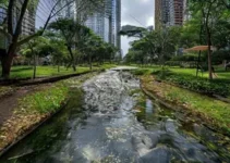 Concurso do Parque Municipal do Bixiga