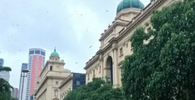 dicas de passeios em São Paulo nos dias de chuva