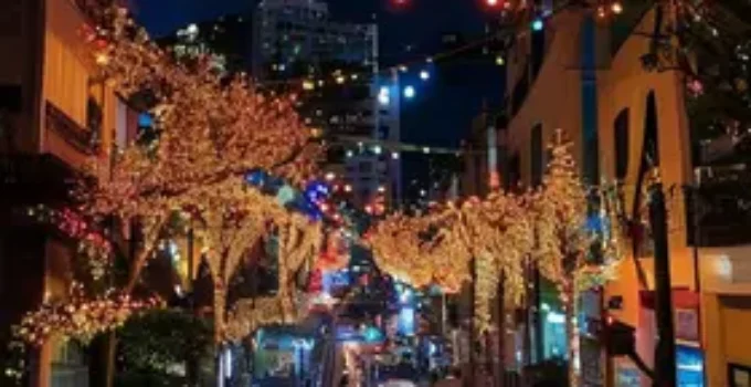 Natal Iluminado