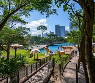 o que fazer em SP nas férias