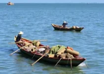 pescadores artesanais
