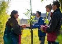 Secretaria de Desenvolvimento Social