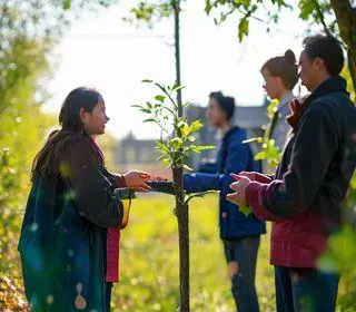 Secretaria de Desenvolvimento Social