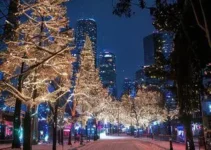 atrações para a noite de Natal em São Paulo