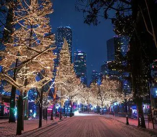 atrações para a noite de Natal em São Paulo