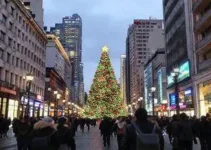 Walking Tour no centro de SP