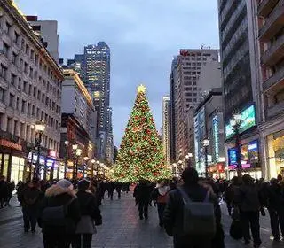 Walking Tour no centro de SP